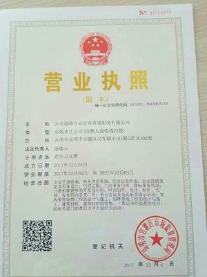 云南晨峰企业管理咨询服务