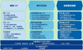 数智赋能，转型破局 金蝶商业服务沈敏谈云管理咨询助力企业转型